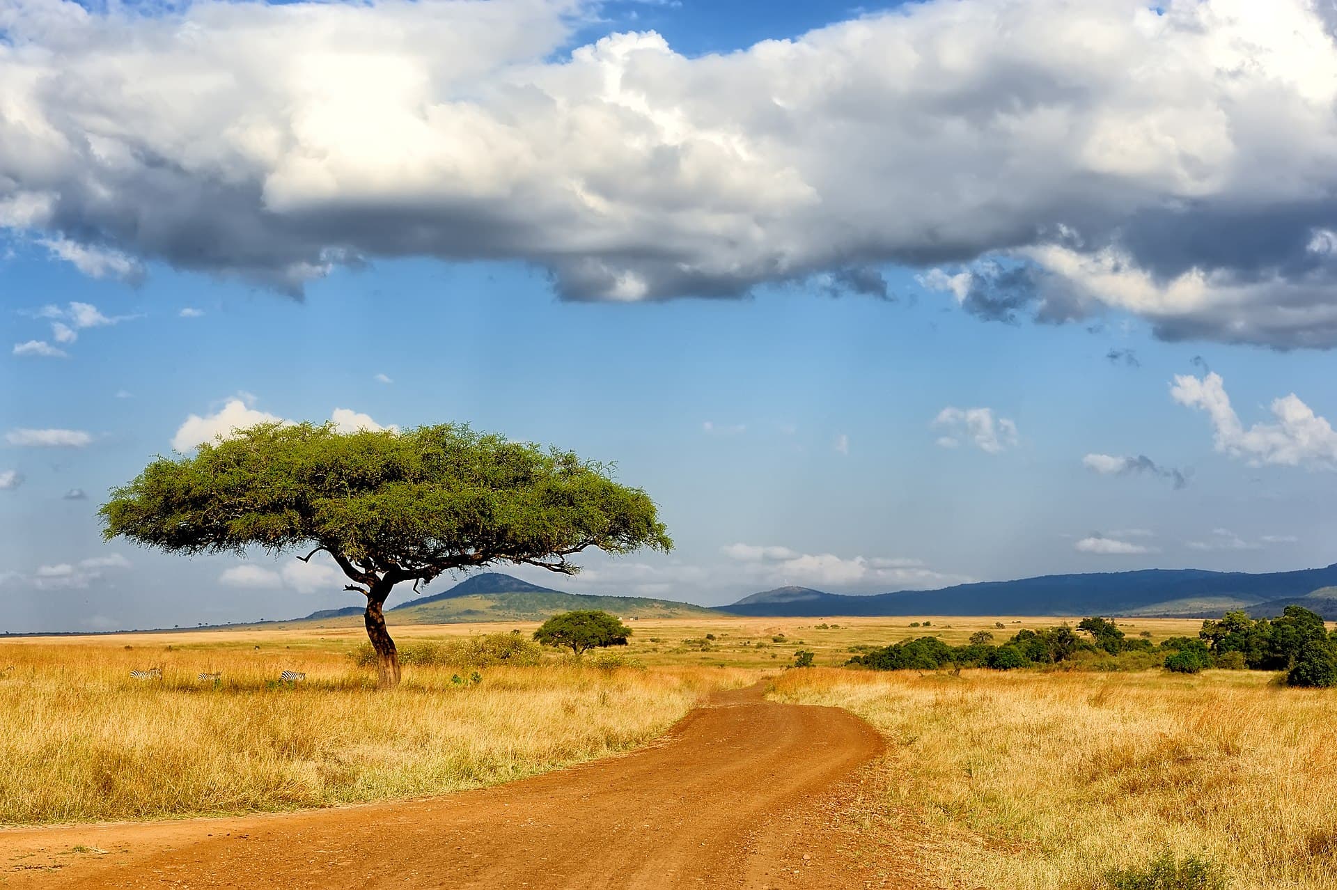Kenya